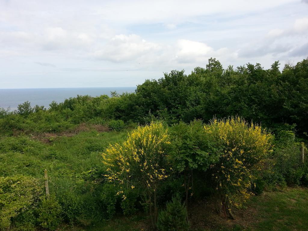 קרנבו Sea View Family Hotel מראה חיצוני תמונה